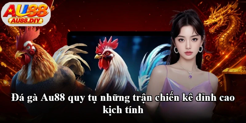 Đá gà Au88 quy tụ những trận chiến kê đỉnh cao kịch tính Đá gà Au88 quy tụ những trận chiến kê đỉnh cao kịch tính