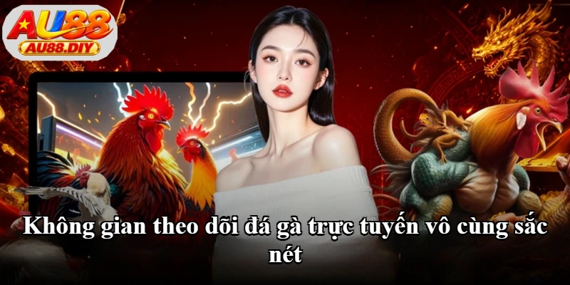 Không gian theo dõi đá gà trực tuyến vô cùng sắc nét Không gian theo dõi đá gà trực tuyến vô cùng sắc nét