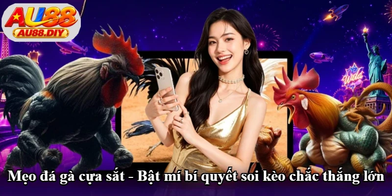 Mẹo Đá Gà Cựa Sắt - Kinh Nghiệm Xem Gà Và Đọc Kèo