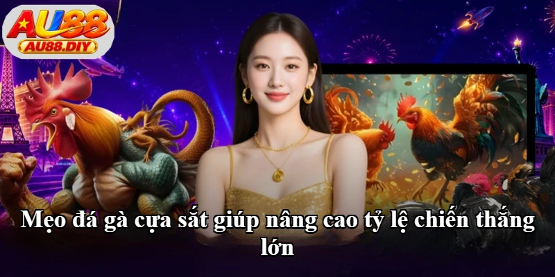 Mẹo đá gà cựa sắt giúp đánh giá trận đấu tốt hơn