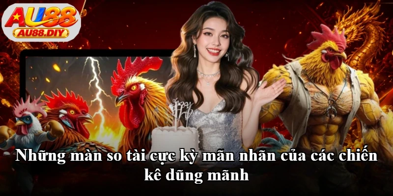Những màn so tài cực kỳ mãn nhãn của các chiến kê dũng mãnh Những màn so tài cực kỳ mãn nhãn của các chiến kê dũng mãnh
