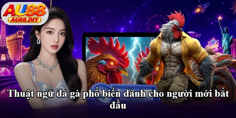Thuật ngữ đá gà phổ biến dành cho người mới bắt đầu Thuật ngữ đá gà phổ biến dành cho người mới bắt đầu